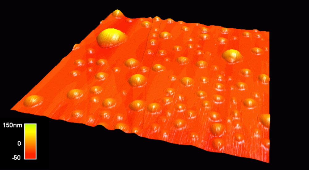 AFM-beeld van nanobelletjes