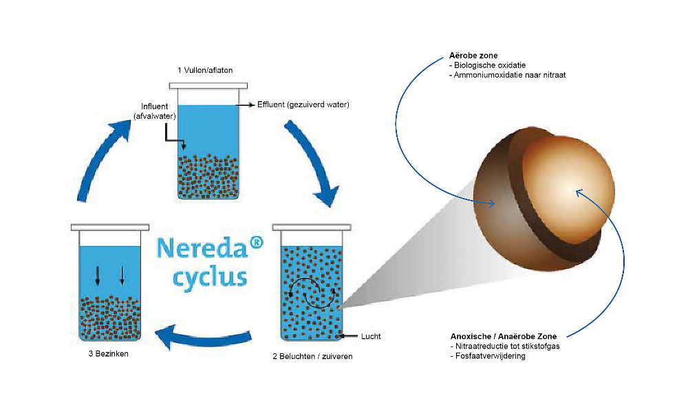 Sequencing batchproces in Nereda-reactoren
