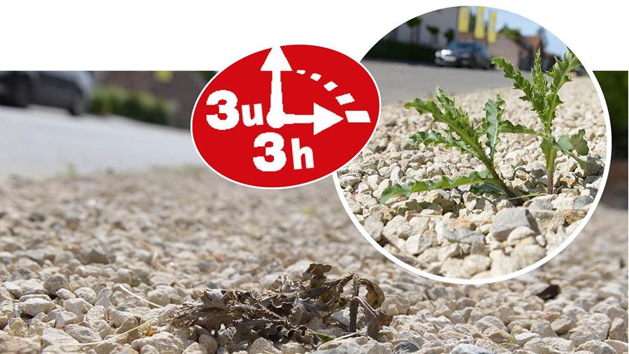 Lutter contre les mauvaises herbes en 3 heures seulement