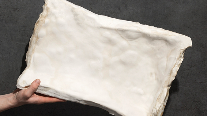 Construire avec des moisissures