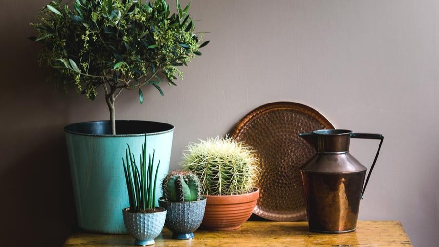 Wanneer is natuurverf een slimme keuze?